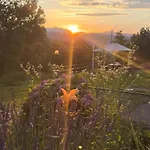 Bed & Breakfast Le Murazze