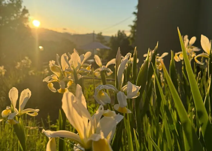 Alojamento de Acomodação e Pequeno-almoço Le Murazze 4*