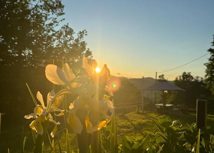 Alojamento de Acomodação e Pequeno-almoço Le Murazze 4*