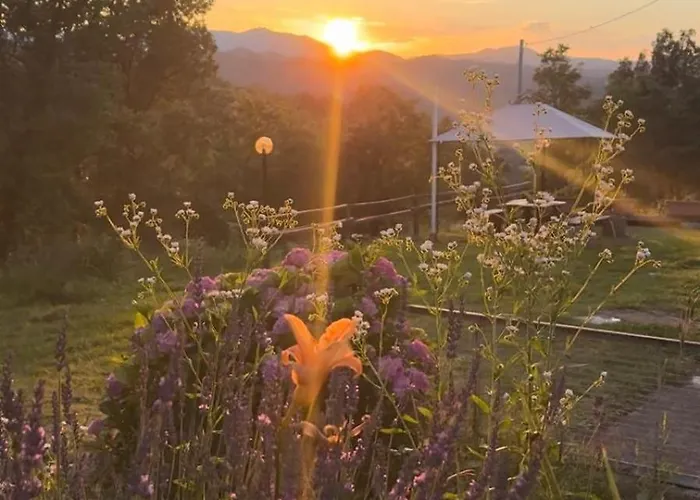 Alojamento de Acomodação e Pequeno-almoço Le Murazze
